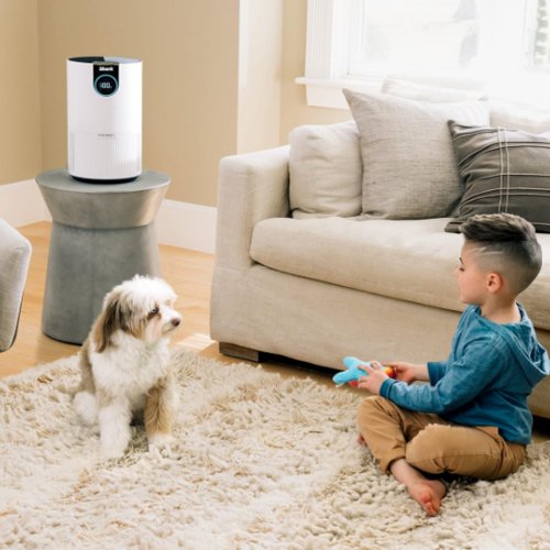 Save 26% on the Shark Clean Sense Air Purifier for Home