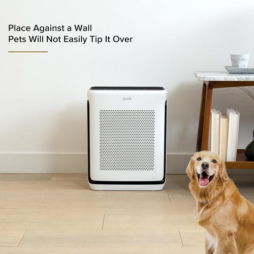 Save $30 on Levoit Air Purifiers for home