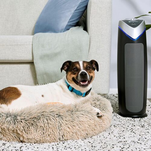 Save 20% on the GermGuardian HEPA Air Purifier for Home