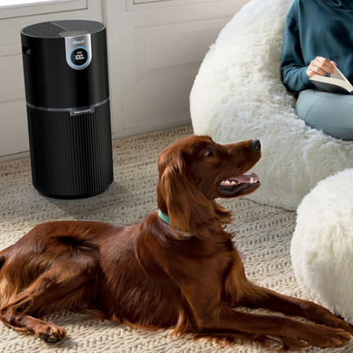 Save $100 on the Shark Air Purifier