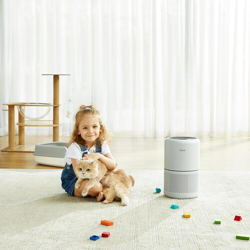 Save 15% on the Levoit Air Purifier