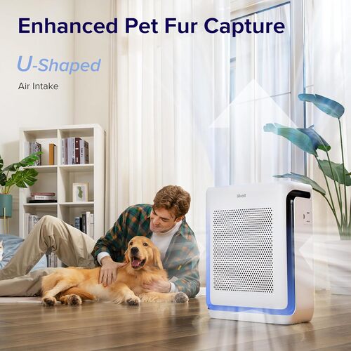 Save $30 on the Levoit Air Purifiers for Home Large Room