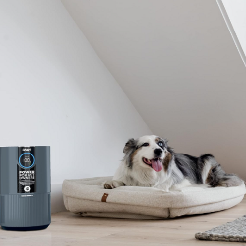 Save 38% on the Shark Clean Sense Air Purifier for Home