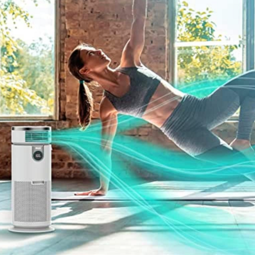 Save $250 on the Shark 3-in-1 Clean Sense Air Purifier