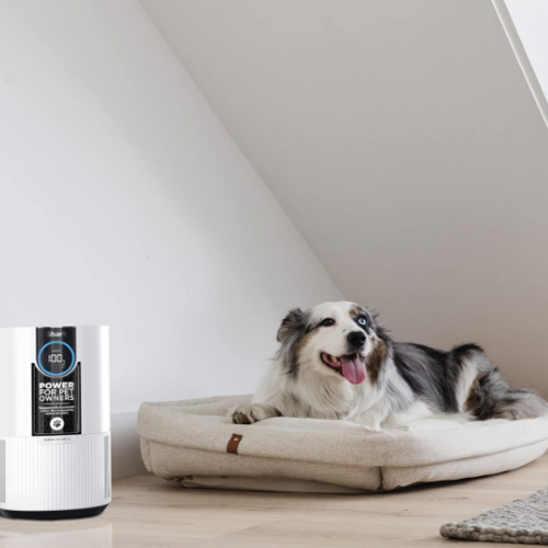 Save 50% on the Shark Clean Sense Air Purifier for Home