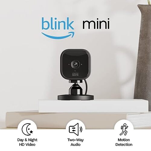 Save $60 on the Blink Mini