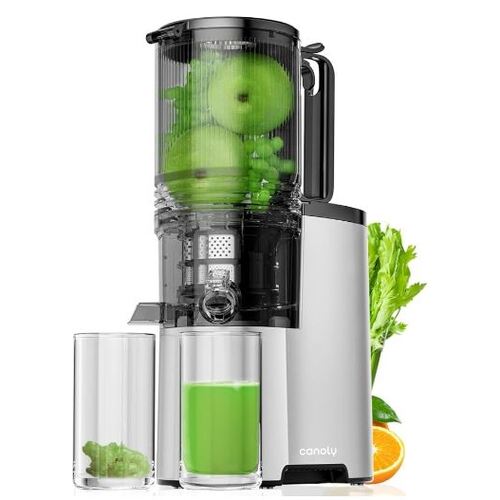 74% OFF Cold Press Juicer