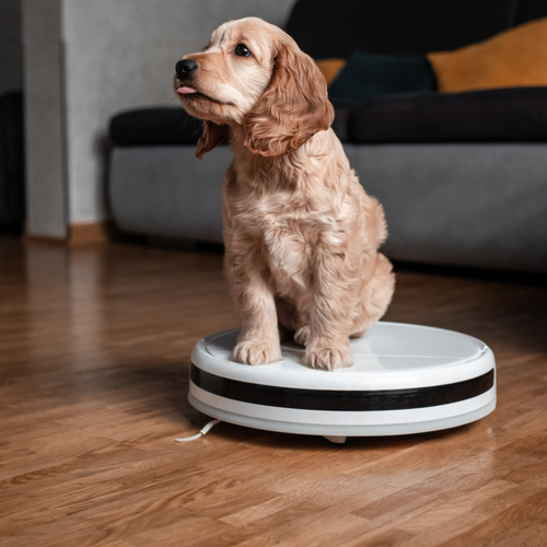 The best pet tech deals we could find the week of Sept. 18