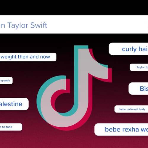 How 'blue comments' turned the TikTok algorithm into a protest tool