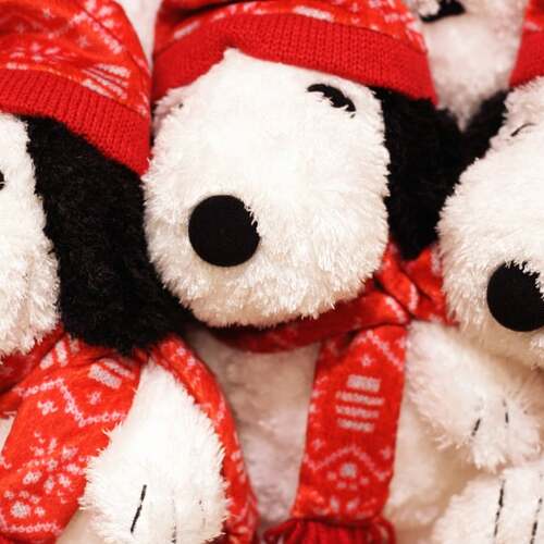 Why you can't buy the Snoopy Puffer Jacket stuffed animal