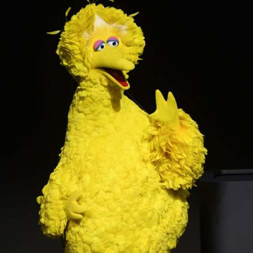 Big Bird is suddenly tiny and everyone online is concerned