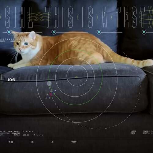 NASA beamed a cat video back to Earth from deep space