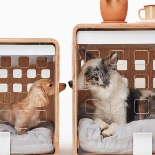 Save 20% at Fable Pets and treat good dogs to a new crate, toy, or bed