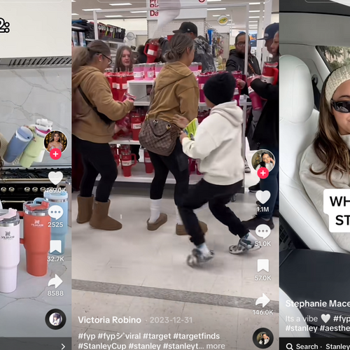 What's so special about a Stanley? A guide to conspicuous consumption on TikTok.