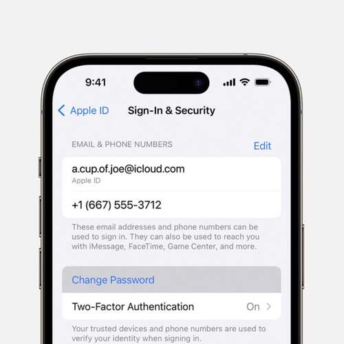 Apple users targeted by incredibly annoying 'Reset Password' attack