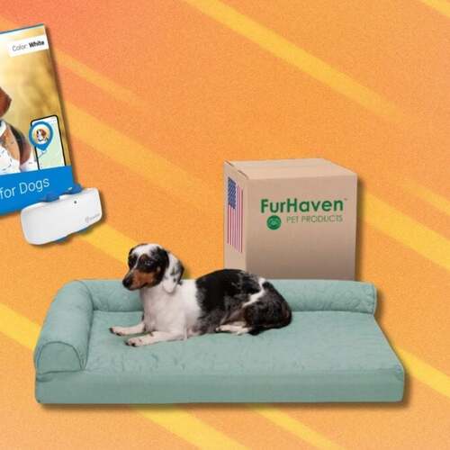 Amazon's Pet Day deals are here with big savings on essentials for furry family members