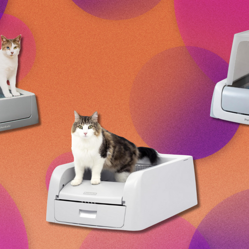 Get up to 20% off self-scooping litter boxes at Amazon and make kitty cleanup simple