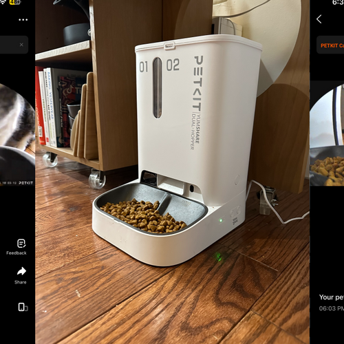 I love snooping on my cat with Petkit's camera-enabled automatic feeder