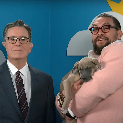 Jason Momoa and Stephen Colbert cuddling rescue dogs is important viewing