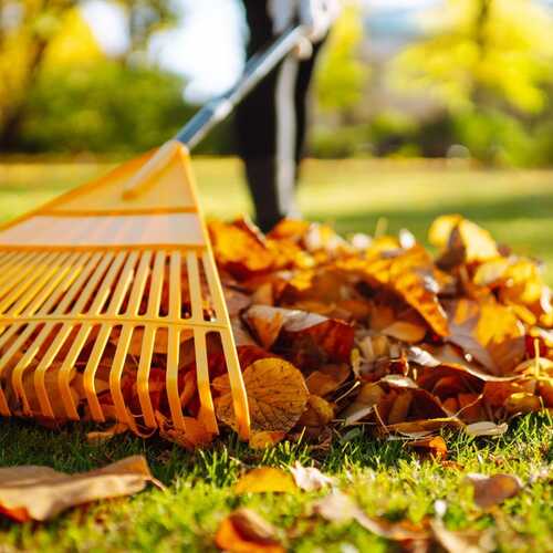 These Are the Best Fall Cleaning Tools