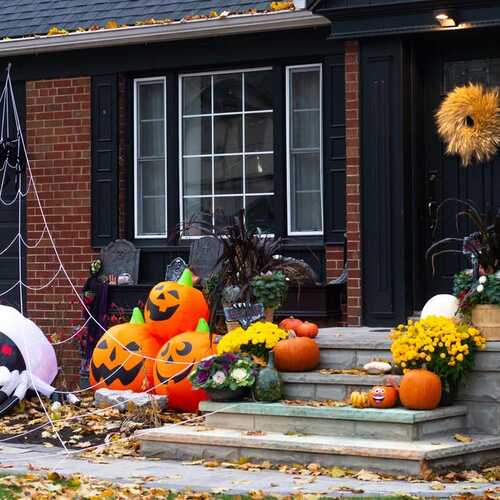 The Best DIY Halloween Spiderweb Decorations (That Aren’t Dangerous for Wildlife)