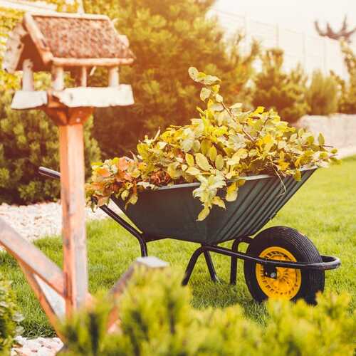 All the Yard and Garden Tasks You Should Do in October