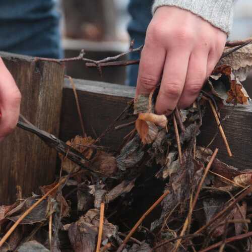 How to Rejuvenate the Soil in Your Raised Garden Beds