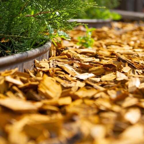 It's Time to Get Wood Chips for Your Yard