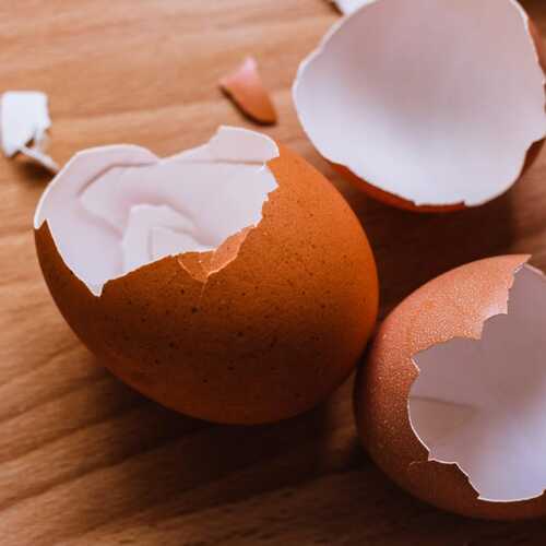 How to Break Out of Eggshell Parenting