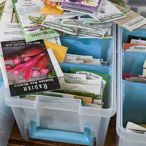 The Best Ways to Keep Seeds Organized and Stored All Year