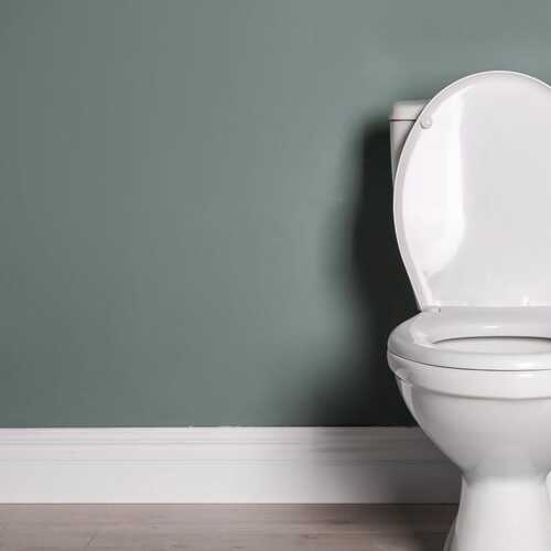 Why Your Toilet is Squealing (and What to Do About It)