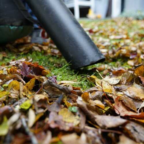 These Are the Best Mulchers to Tackle Your Leaves This Fall