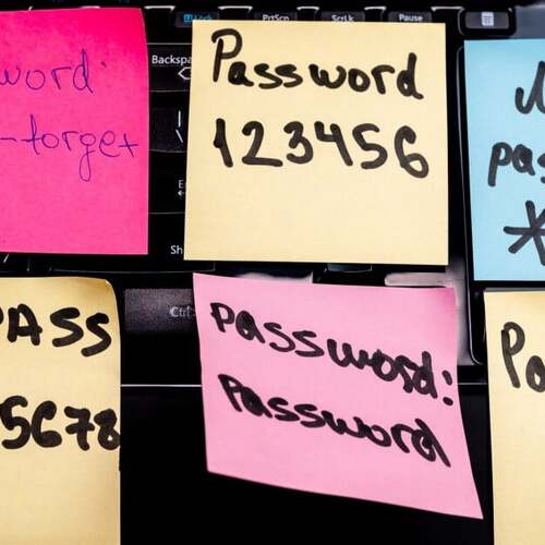 Not Great: Even Password Manager Subscribers Reuse Passwords