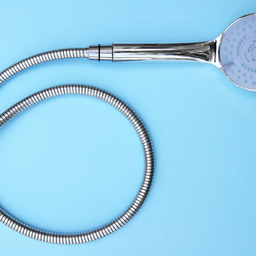 There’s a Hidden Filter in Your Shower Head and It’s Probably Filthy