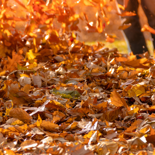 You Can Turn Your Shop Vac Into a Leaf Blower