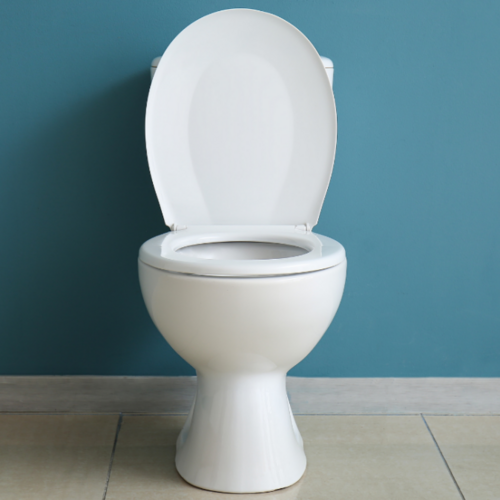 A Rocking Toilet Could Be a Sign of a Much Bigger Problem