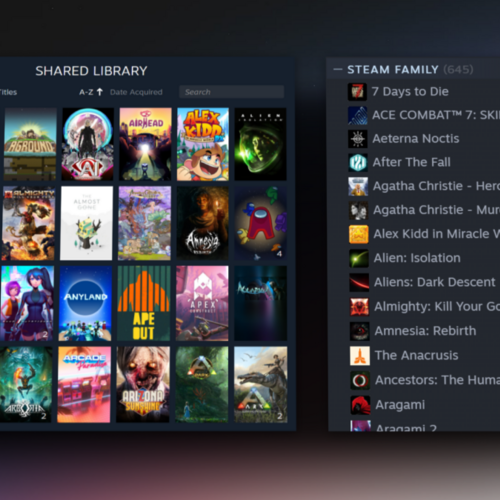 How to Share Games on Steam With Family Sharing