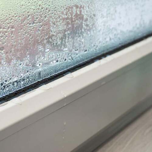 How to Prevent Condensation on Your Windows (and Why You Should)