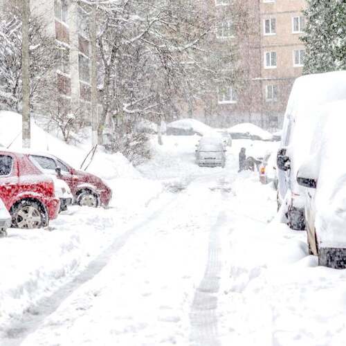 How to Survive a Massive Blizzard