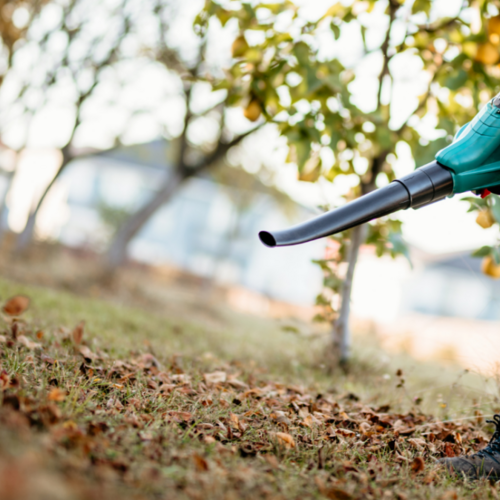 The Best Alternatives to a Gas-Powered Leaf Blower