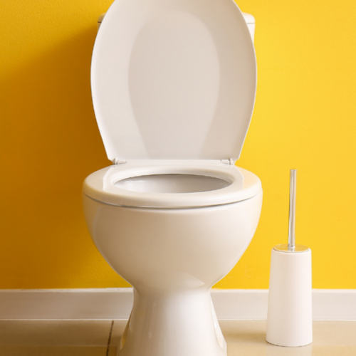 Why You Should Consider an Upflush Toilet