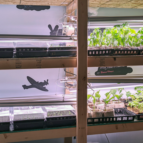 The Best Way to Create a Seed-starting Station at Home