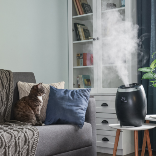 How Often You Need to Clean Your Humidifier (It’s a Lot)