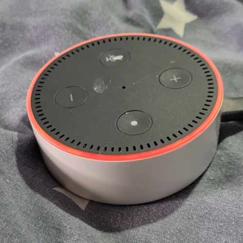 Why Your Amazon Echo’s Light Is Red