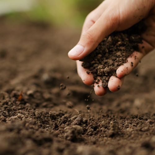 How to Choose the Right Soil for Your Garden