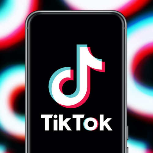 TikTok Wants You to Help Stop a US TikTok Ban