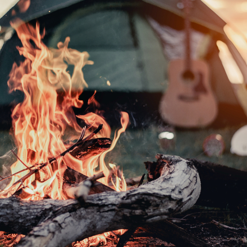 Why You Shouldn't Bring Firewood With You on a Camping Trip