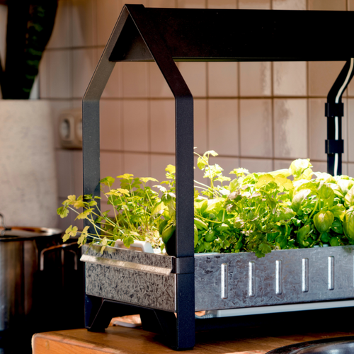 Five Ways to Get the Most Out of Your Indoor Garden