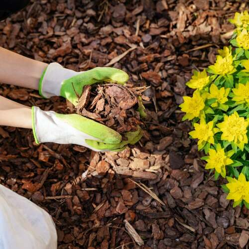 How to Keep Your Garden Well-Mulched (and Why You Should)