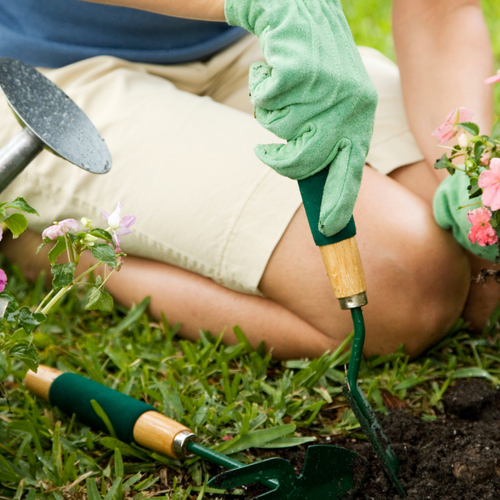 The Only Four Gardening Tools You Actually Need